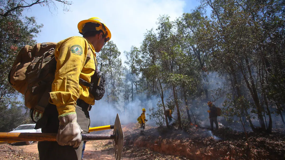 973819_Incendios Sierra Guanajuato-2_impreso